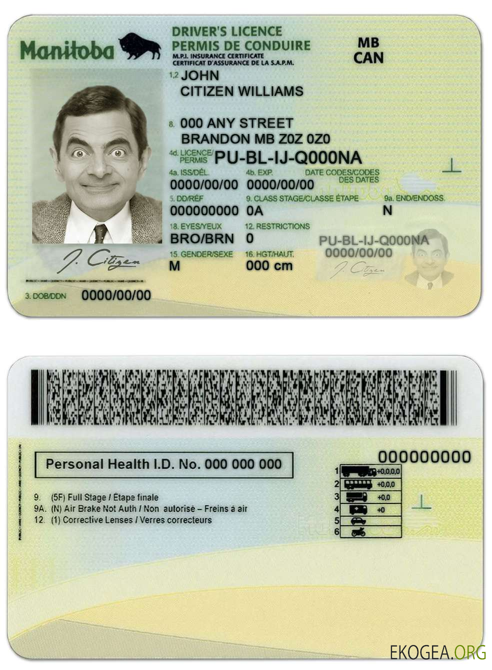 Canada Manitoba province driving license